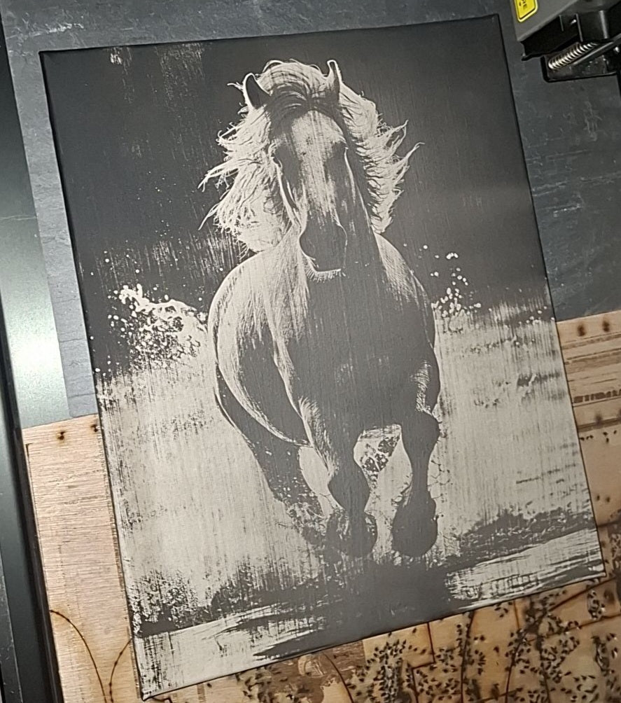 Toile cheval Sauvage